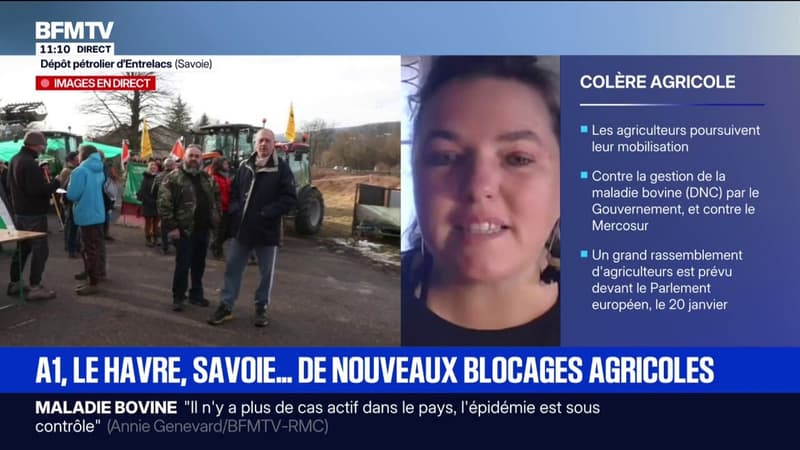 Fanny Métrat (Confédération paysanne): "Cette Europe libérale veut détruire la paysannerie"