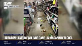 Le break du jeudi 4 décembre