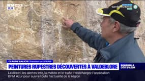 Alpes-Maritimes: des peintures rupestres découvertes à Valdeblore