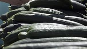 Une cinquantaine de producteurs de tomates et de concombres ont distribué gratuitement samedi quelque 15 tonnes de leurs produits sur le Champ de Mars à Paris, une opération de reconquête des consommateurs après la chute brutale de leurs ventes ces derniè