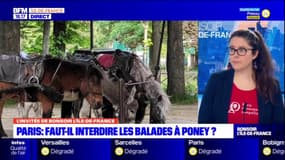 Paris: l'association PAZ dénonce les balades à poney