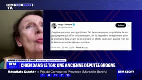 Chien sans muselière dans le TGV: "On est en société, et en société on respecte les règles", affirme Anne-Yvonne Le Dain