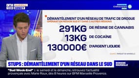 Bouches-du-Rhône: un réseau international de trafic de stupéfiants démantelé