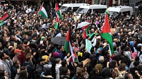 Des manifestants se sont rassemblés à Paris en soutien à la Palestine malgré l'interdiction. 