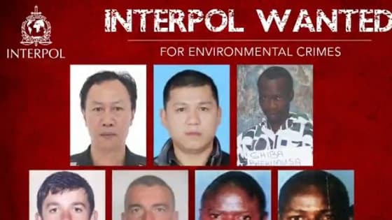 L'appel d'Interpol.