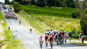 Etape 13 Tour de France (Agen-Pau)