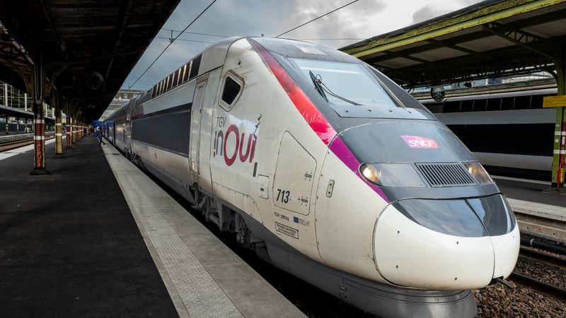 Deux TGV bloqués sur les voies au nord de Lyon en raison d'un problème d'alimentation électrique, les passagers évacués des rames