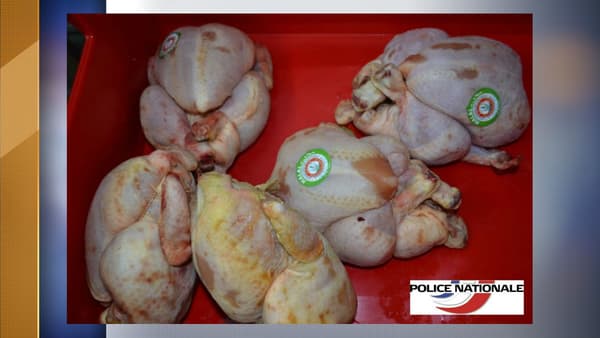 viande viande