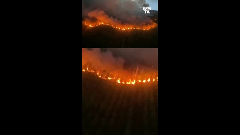Les images aériennes de l'incendie à Saumos, en Gironde, qui a ravagé 1300 hectares de végétation