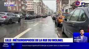 Lille: métamorphose de la rue du Molinel