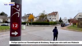 Ma ville, ma métropole et moi : Pratique sportive à Strasbourg, bourse d'aide à la licence sportive