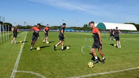 Coronavirus : quatre jeunes de Montpellier positifs