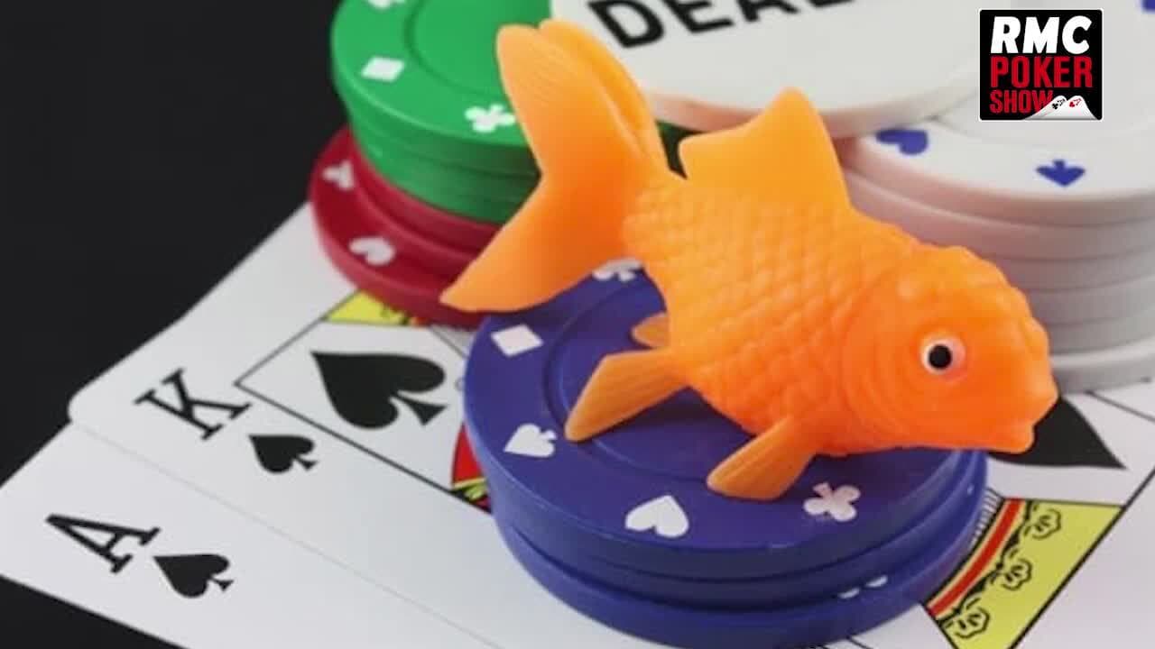 Revoir Rmc poker show du 24 Octobre