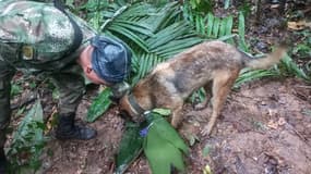 Des recherches pour retrouver des enfants dans la forêt colombienne