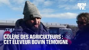 "On est prêts à monter à Paris et paralyser la capitale": Jérôme Bayle, figure de la contestation des agriculteurs, témoigne