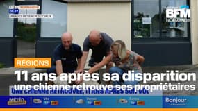  Une chienne retrouvée onze ans après sa disparition dans l’Yonne