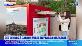 Des bennes à carton mises en place à Marseille