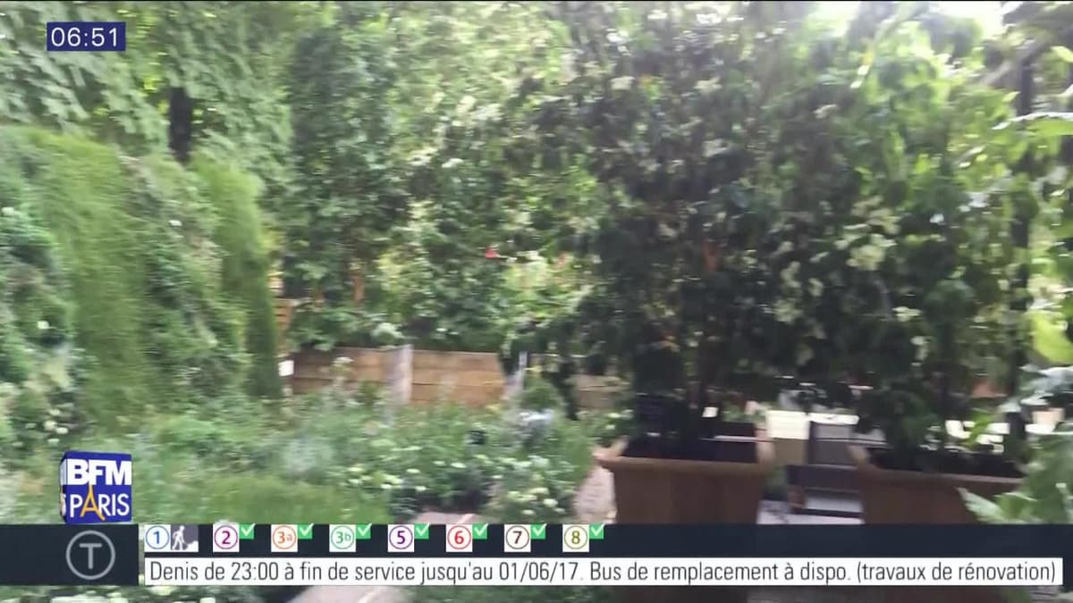 placeholder video