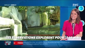 Dupin Quotidien : Les réservations explosent pour le 19 mai - 07/05