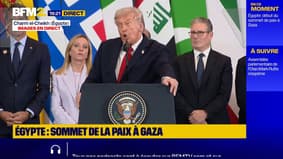 Donald Trump appelle "à se débarrasser de la terreur" lors du sommet pour la paix à Gaza