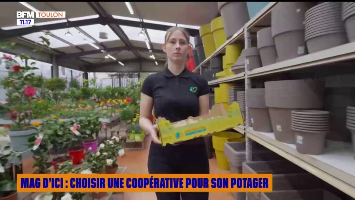 placeholder video