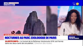 Ça se passe en Île-de-France: un casting à Cergy et des nocturnes au parc zoologique