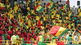 Les supporters sénégalais en tribunes lors de Sénégal-Gambie en Coupe d'Afrique des nations, le lundi 15 janvier 2024