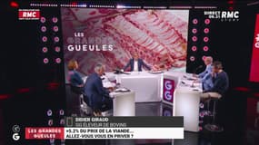 Hausse de 5,2 % du prix de la viande... Les explications de notre éleveur de bovins Didier Giraud 