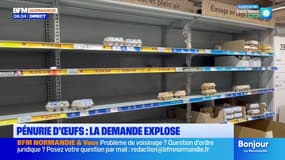 Le journal de 8h du mercredi 19 novembre 2025