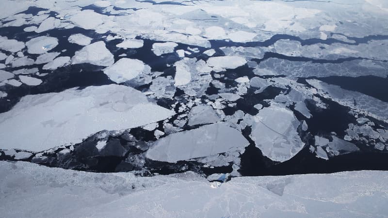 L'Arctique pourrait être privé de glace de mer en été dès les années 2030
