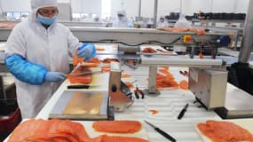 Un employé de Bretagne Saumon, coupe un morceau de saumon fumé le 4 avril 2014 dans une usine à Châteauneuf-du-Faou. (Illustration)