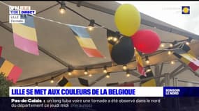 Lille se met aux couleurs de la Belgique