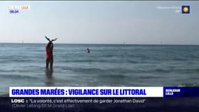 Les grandes marées de retour sur le littoral du Nord et du Pas-de-Calais