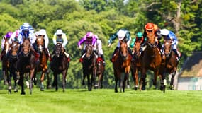 Les pronos hippiques du 14 octobre 2024