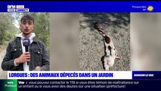 Var: des animaux dépecés découverts dans un jardin à Lorgues