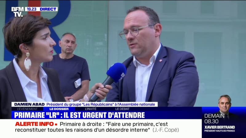 Damien Abad sur la candidature LR à la présidentielle: "Si on n'arrive pas à se mettre d'accord, il y aura un processus de sélection"