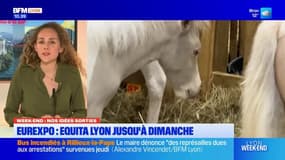 Lyon: nos idées sorties pour ce week-end de trois jours