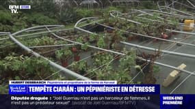 Tempête Ciarán: un chantier solidaire pour venir en aide à ce pépiniériste sinistré 