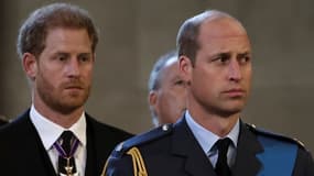 William et Harry, le 14 septembre 2022