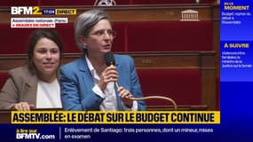 Rousseau à l'Assemblée : Ce "geste n'avait pas sa place dans cet hémicycle"