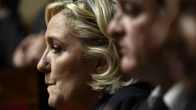 La présidente du Rassemblement national Marine Le Pen, le 29 mai 2018 à l'Assemblée à Paris. 