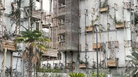 L'éco-quartier du Ray devait être entièrement végétalisé, mais trois ans après sa livraison le béton règne en maître.
