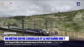Natacha Bouchart, la maire (LR) de Calais, évoque l'idée de créer un métro entre Coquelles et le Royaume-Uni