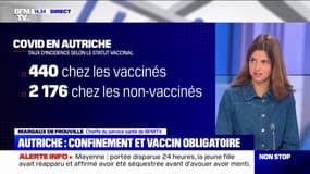 Covid-19: l'Autriche reconfine toute sa population malgré un taux d'incidence 5 fois inférieur pour les personnes vaccinées 