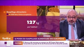 Le poids du gaspillage alimentaire des européens 