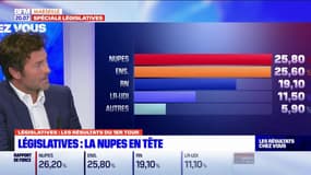 Législatives: Stéphane Le Rudulier (LR) "convaincu" qu'Emmanuel Macron n'aura pas la majorité à l'assemblée