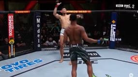 UFC : le KO incroyable de Hill sur Walker