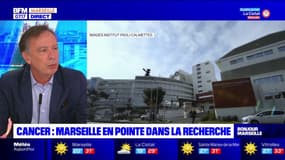 Marseille: l'Institut Paoli-Calmettes en pointe dans la recherche sur le cancer