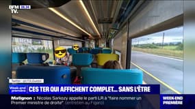 TER: pourquoi des trains sont affichés "complets" alors qu'ils ne le sont pas?