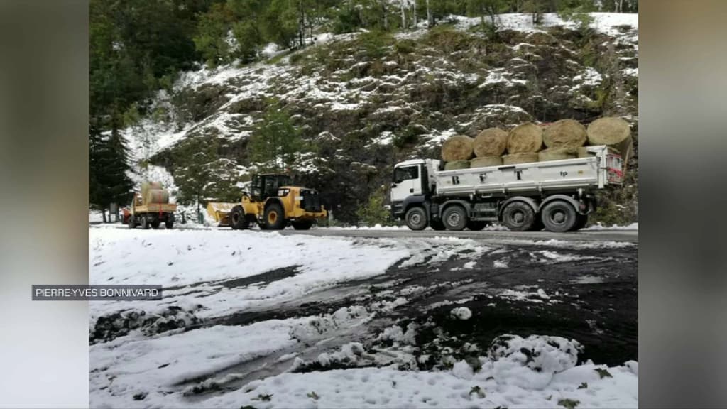 Les tracteurs acheminant le foin. Les tracteurs acheminant le foin.